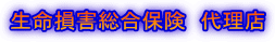 生命損害総合保険　代理店 